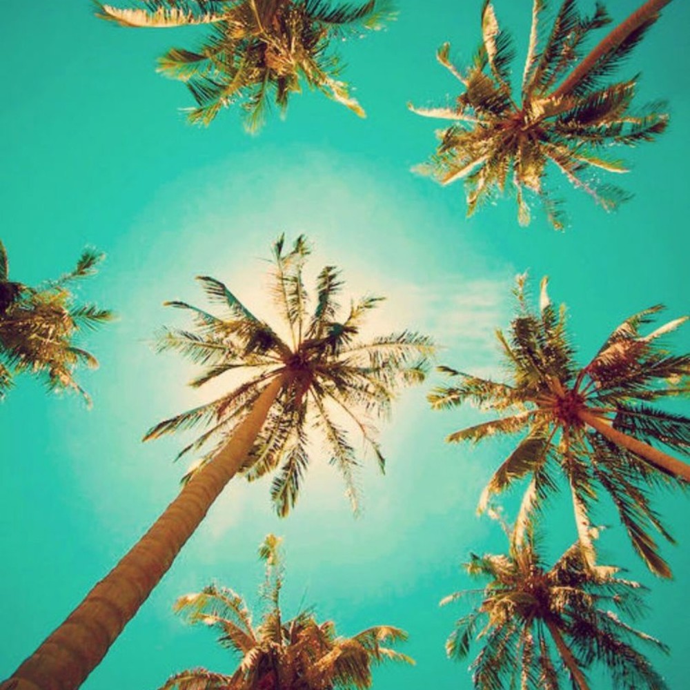 Meet your Posher, Emmy